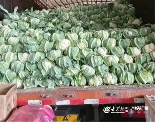 防疫情 保供應(yīng) 匡山農(nóng)產(chǎn)品綜合交易市場為市民托穩(wěn)“菜籃子”農(nóng)產(chǎn)品