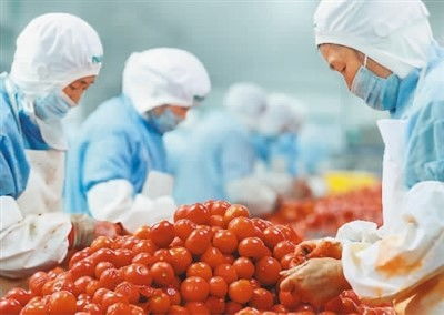 穩(wěn)居第一，小小罐頭闖世界 中國農(nóng)產(chǎn)品的全球化之路