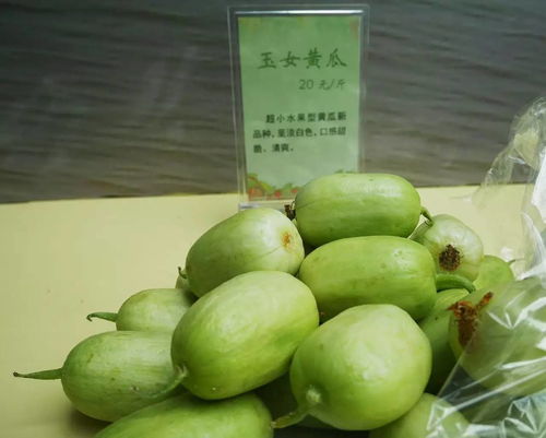興化特色農(nóng)產(chǎn)品展銷會南京成功舉辦，感恩有你共譜鄉(xiāng)村振興新篇章